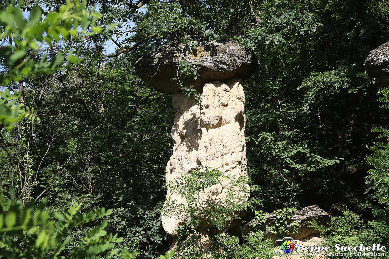 VBS_8929 - I Ciciu del Villar. Villar San Costanzo. Val Maira (Cuneo).jpg